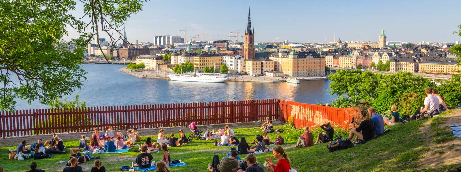 Students picnic on a lawn in Stockholm